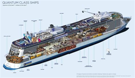 There are 17 passenger decks, 11 with cabins. . Quantum of the seas muster stations